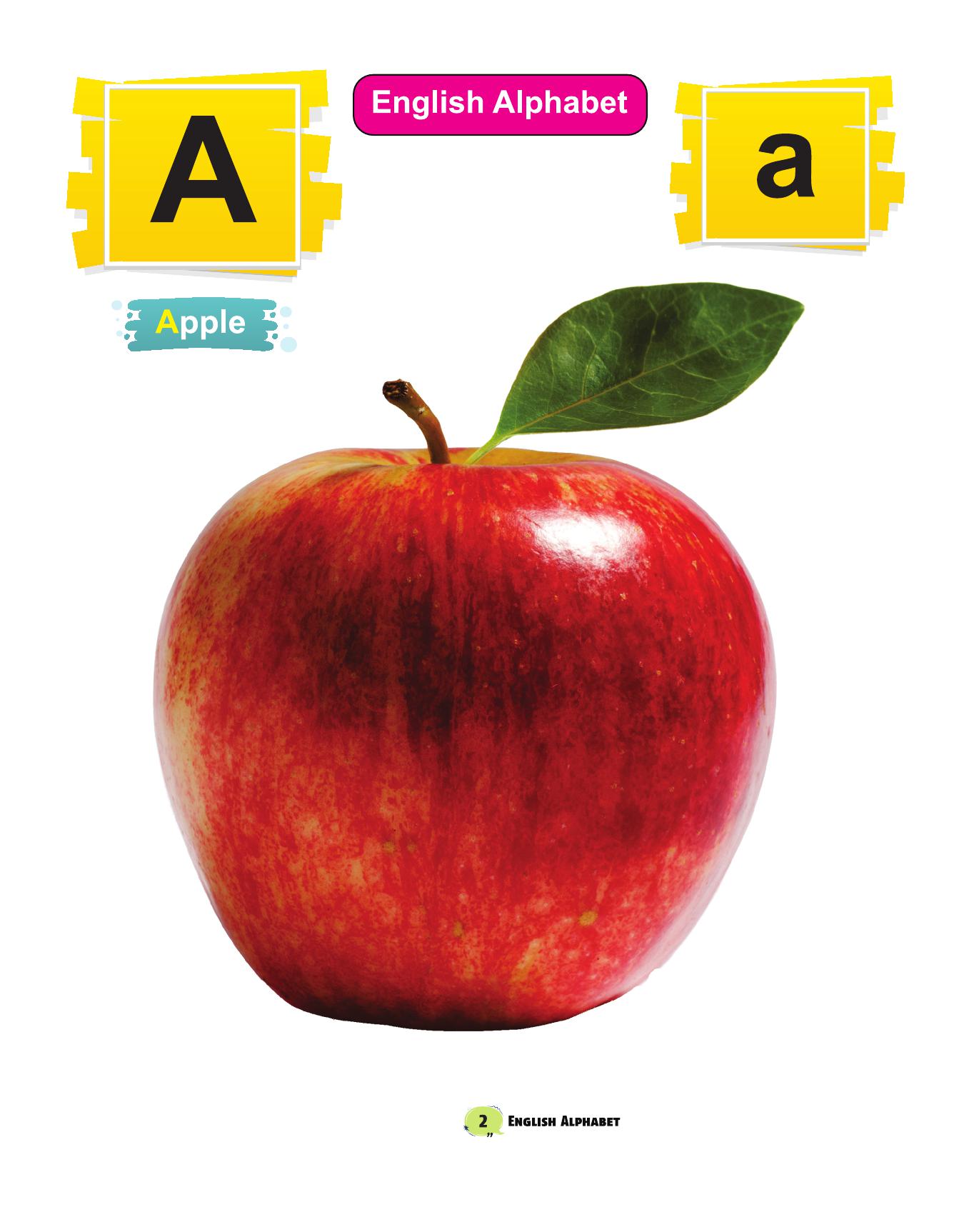 THREE IN ONE (ENGLISH)